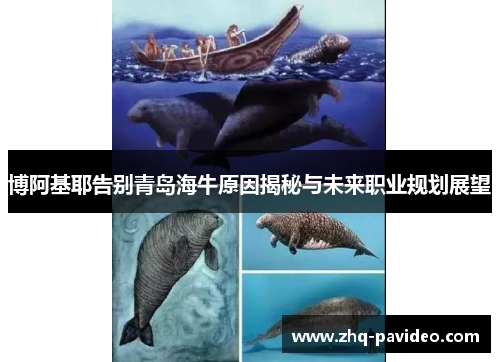 博阿基耶告别青岛海牛原因揭秘与未来职业规划展望