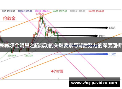 鲍威尔全明星之路成功的关键要素与背后努力的深度剖析