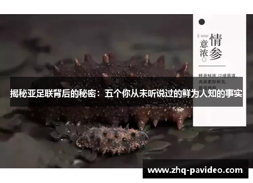 揭秘亚足联背后的秘密：五个你从未听说过的鲜为人知的事实