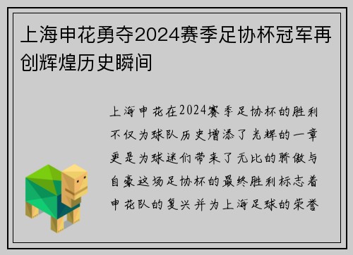上海申花勇夺2024赛季足协杯冠军再创辉煌历史瞬间